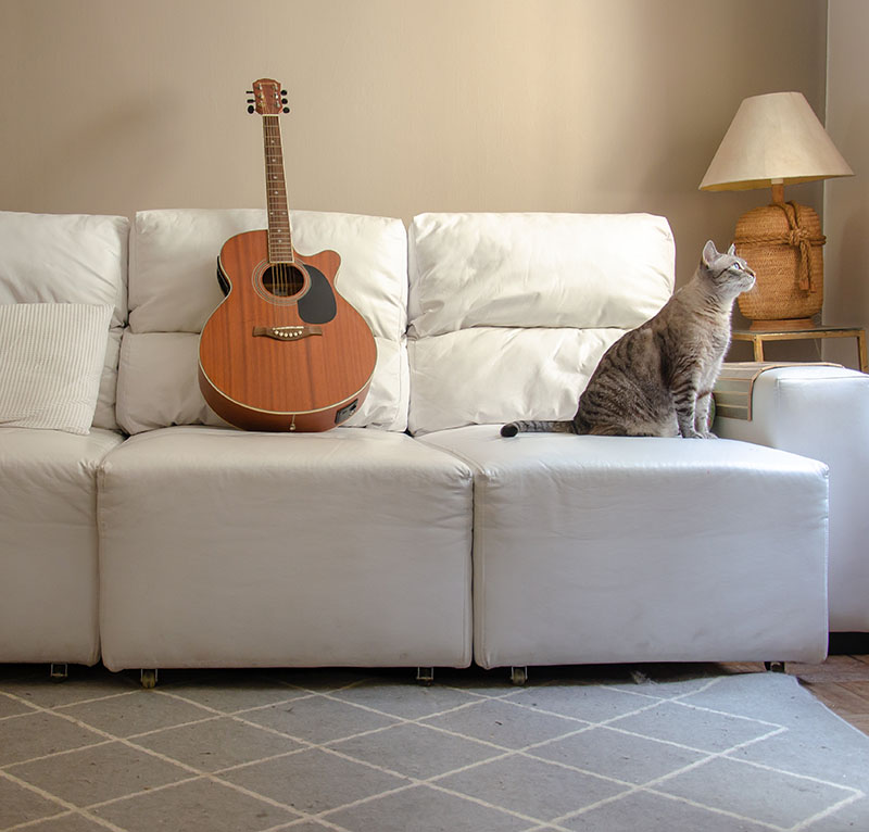 gato sobre sofa blanco